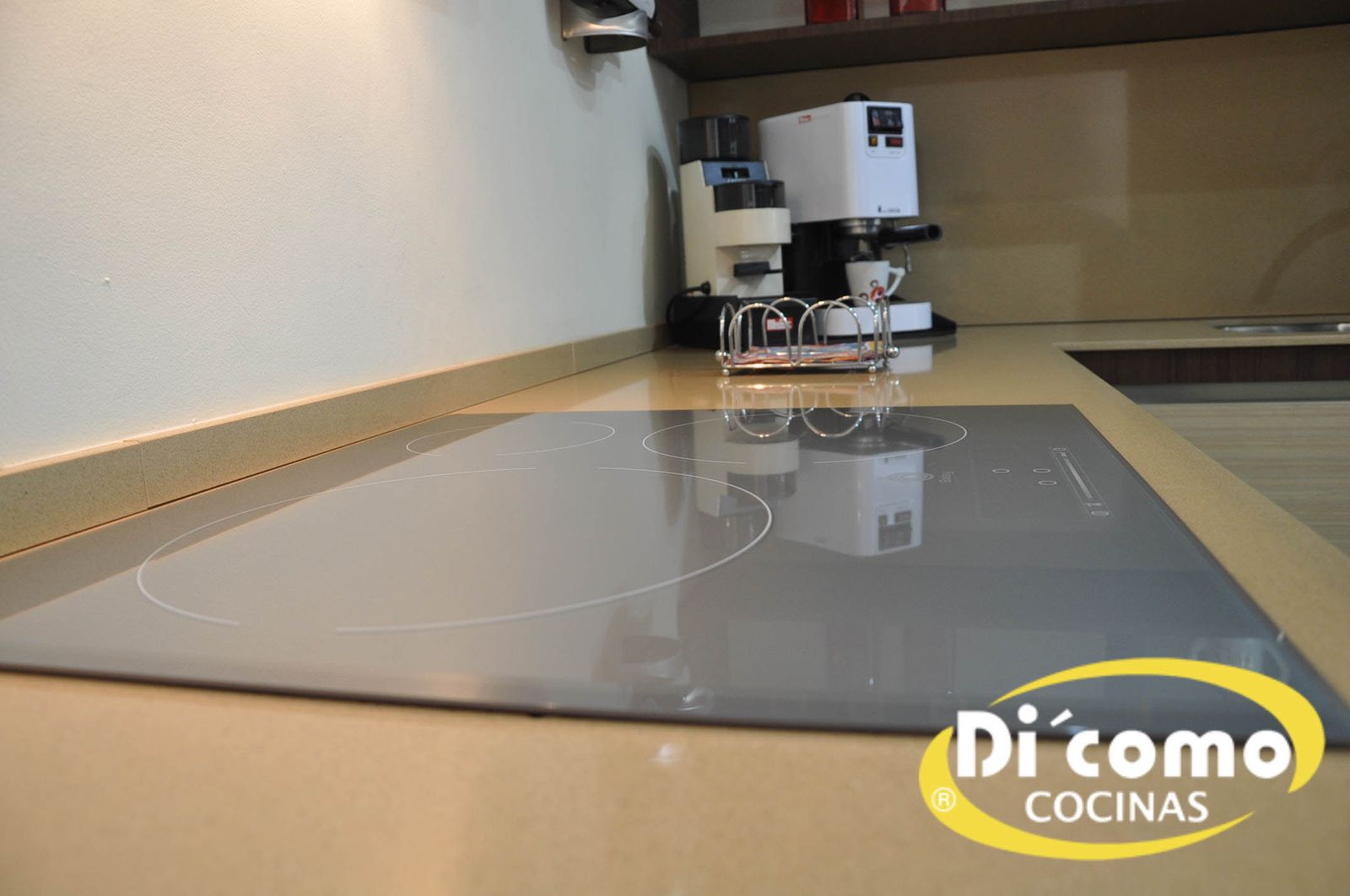 Detalle: placa de inducción y zona de cocción