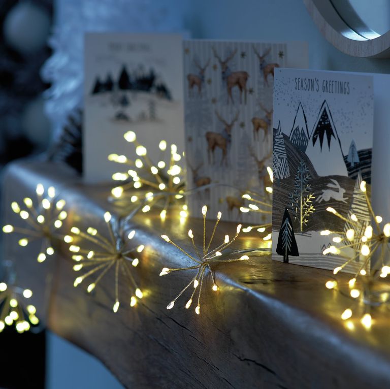 Decora tu cocinas con plantas Navideñas